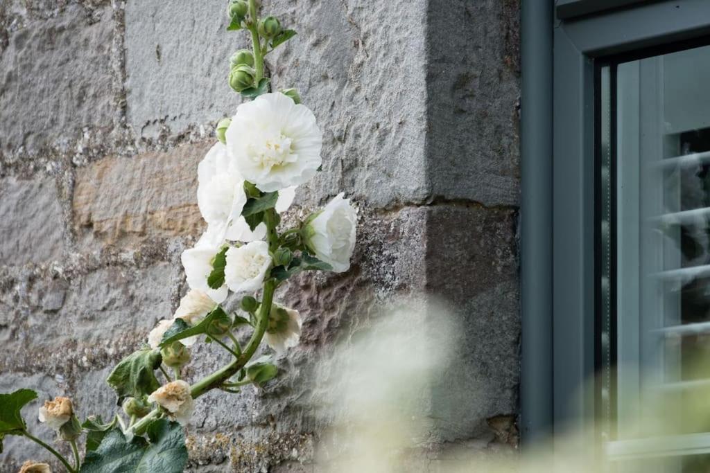 Luxury Cottage Near Hay-On-Wye Llanigon 外观 照片